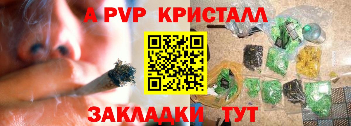 Alfa_PVP СК Дубна