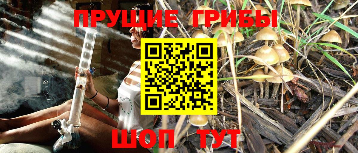 Галлюциногенные грибы Psilocybe  Вход с VPN  Дубна  Псилоцибиновые грибы Magic Shrooms 